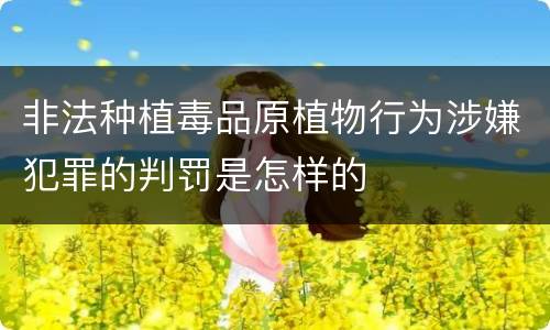非法种植毒品原植物行为涉嫌犯罪的判罚是怎样的