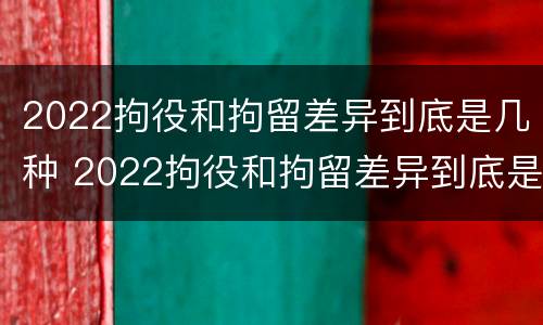 2022拘役和拘留差异到底是几种 2022拘役和拘留差异到底是几种处罚