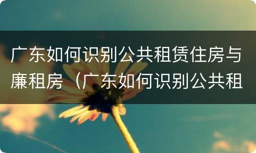 广东如何识别公共租赁住房与廉租房（广东如何识别公共租赁住房与廉租房的关系）