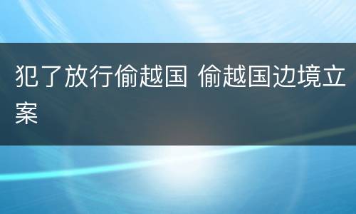 犯了放行偷越国 偷越国边境立案