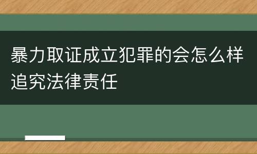暴力取证成立犯罪的会怎么样追究法律责任