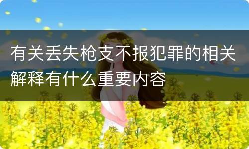 有关丢失枪支不报犯罪的相关解释有什么重要内容