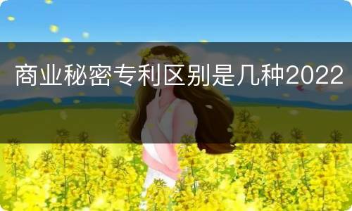 商业秘密专利区别是几种2022