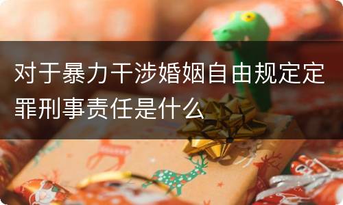 对于暴力干涉婚姻自由规定定罪刑事责任是什么