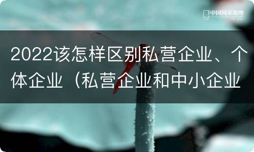 2022该怎样区别私营企业、个体企业（私营企业和中小企业）