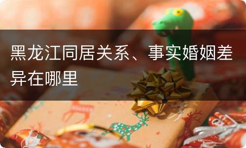 黑龙江同居关系、事实婚姻差异在哪里