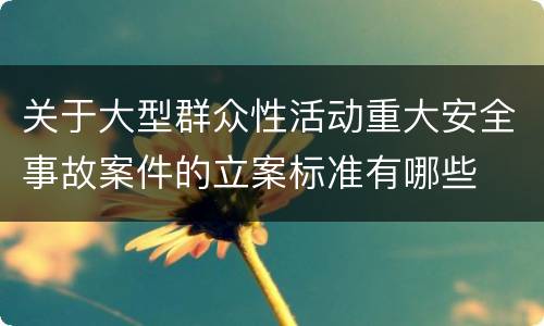 关于大型群众性活动重大安全事故案件的立案标准有哪些