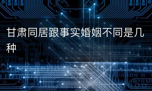 甘肃同居跟事实婚姻不同是几种