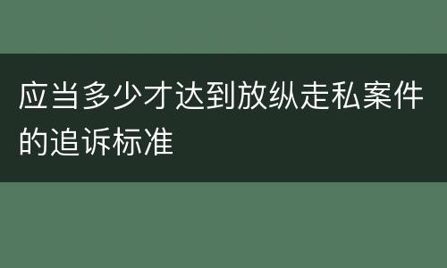 应当多少才达到放纵走私案件的追诉标准