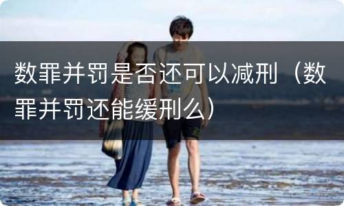 数罪并罚是否还可以减刑（数罪并罚还能缓刑么）
