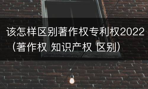 该怎样区别著作权专利权2022（著作权 知识产权 区别）