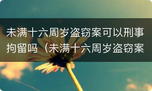 未满十六周岁盗窃案可以刑事拘留吗（未满十六周岁盗窃案可以刑事拘留吗）