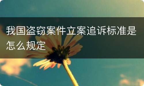 我国盗窃案件立案追诉标准是怎么规定