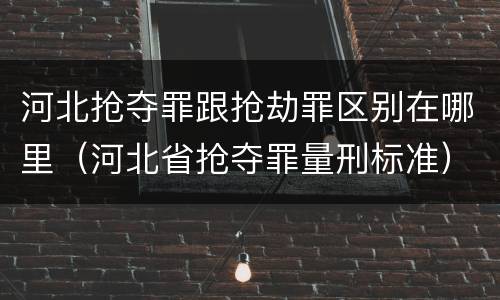 河北抢夺罪跟抢劫罪区别在哪里（河北省抢夺罪量刑标准）