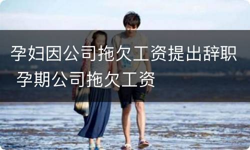 孕妇因公司拖欠工资提出辞职 孕期公司拖欠工资