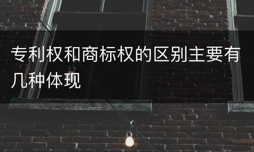 专利权和商标权的区别主要有几种体现