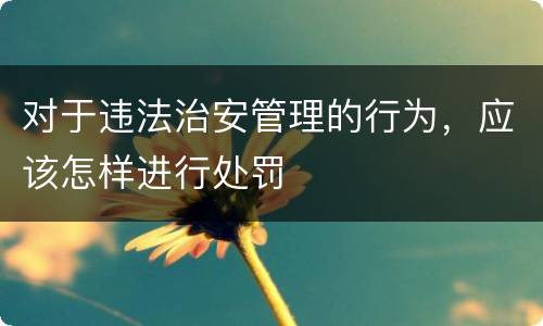 对于违法治安管理的行为，应该怎样进行处罚