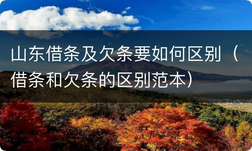 山东借条及欠条要如何区别（借条和欠条的区别范本）