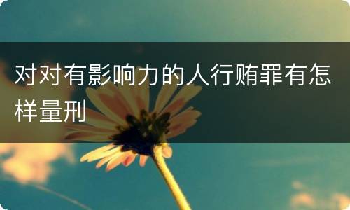 对对有影响力的人行贿罪有怎样量刑