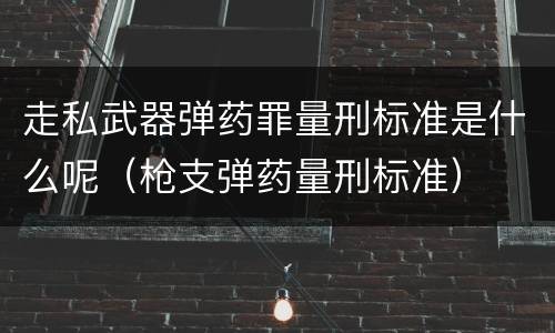 走私武器弹药罪量刑标准是什么呢（枪支弹药量刑标准）
