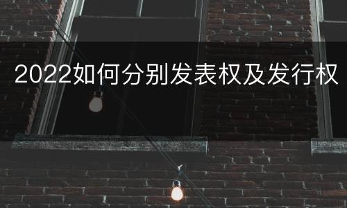 2022如何分别发表权及发行权