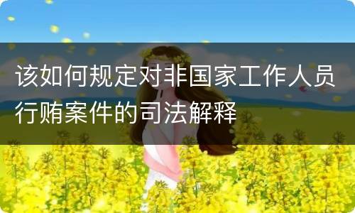 该如何规定对非国家工作人员行贿案件的司法解释