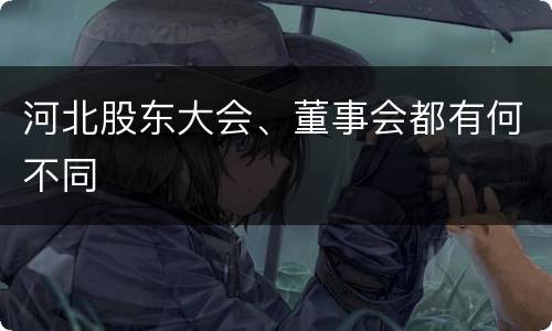 河北股东大会、董事会都有何不同
