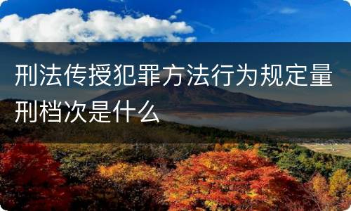 刑法传授犯罪方法行为规定量刑档次是什么
