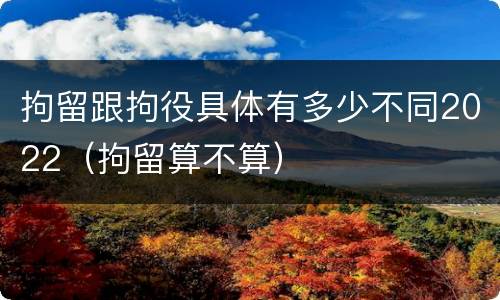 拘留跟拘役具体有多少不同2022（拘留算不算）