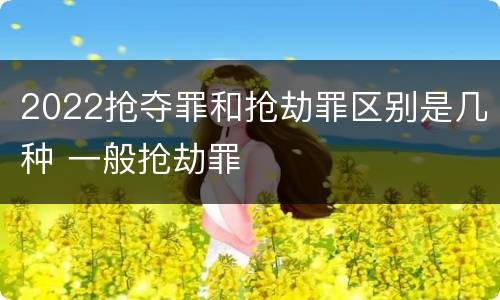 2022抢夺罪和抢劫罪区别是几种 一般抢劫罪