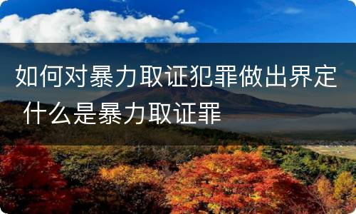 如何对暴力取证犯罪做出界定 什么是暴力取证罪