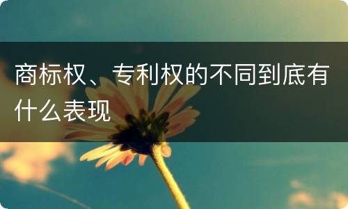 商标权、专利权的不同到底有什么表现