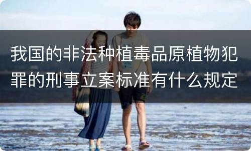 我国的非法种植毒品原植物犯罪的刑事立案标准有什么规定