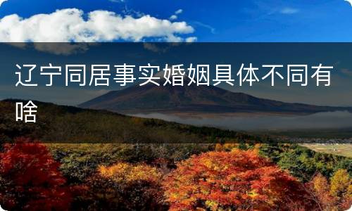 辽宁同居事实婚姻具体不同有啥