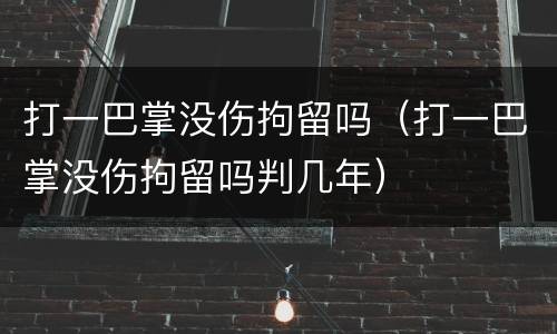 打一巴掌没伤拘留吗（打一巴掌没伤拘留吗判几年）