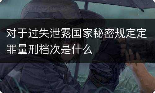 对于过失泄露国家秘密规定定罪量刑档次是什么