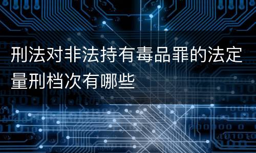 刑法对非法持有毒品罪的法定量刑档次有哪些