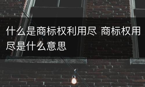 什么是商标权利用尽 商标权用尽是什么意思