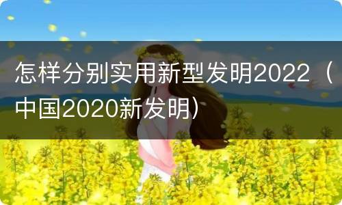 怎样分别实用新型发明2022（中国2020新发明）