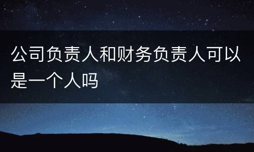 公司负责人和财务负责人可以是一个人吗