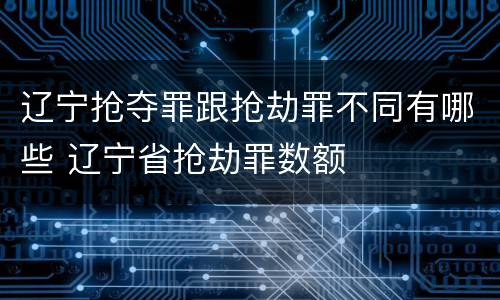 辽宁抢夺罪跟抢劫罪不同有哪些 辽宁省抢劫罪数额