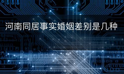 河南同居事实婚姻差别是几种