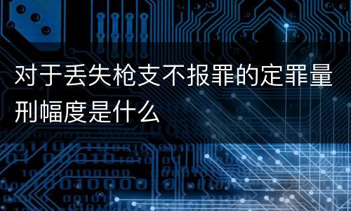对于丢失枪支不报罪的定罪量刑幅度是什么