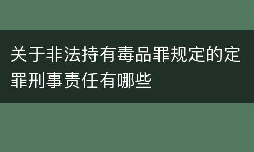关于非法持有毒品罪规定的定罪刑事责任有哪些