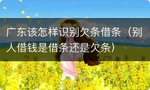广东该怎样识别欠条借条（别人借钱是借条还是欠条）