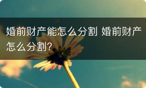 婚前财产能怎么分割 婚前财产怎么分割?