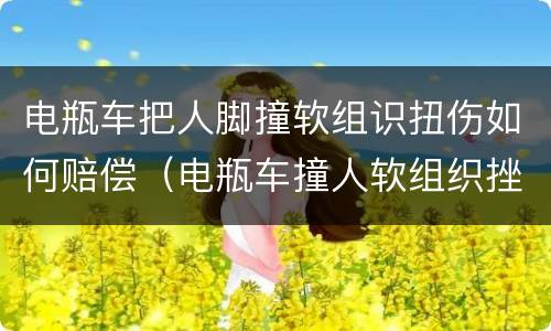 电瓶车把人脚撞软组识扭伤如何赔偿（电瓶车撞人软组织挫伤赔偿）