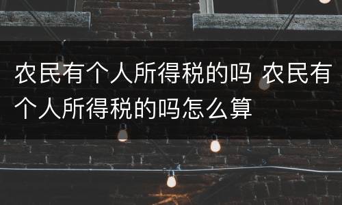 农民有个人所得税的吗 农民有个人所得税的吗怎么算