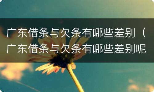 广东借条与欠条有哪些差别（广东借条与欠条有哪些差别呢）