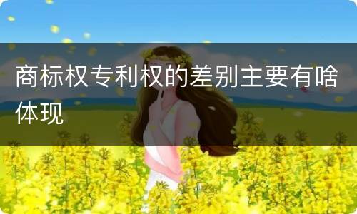 商标权专利权的差别主要有啥体现